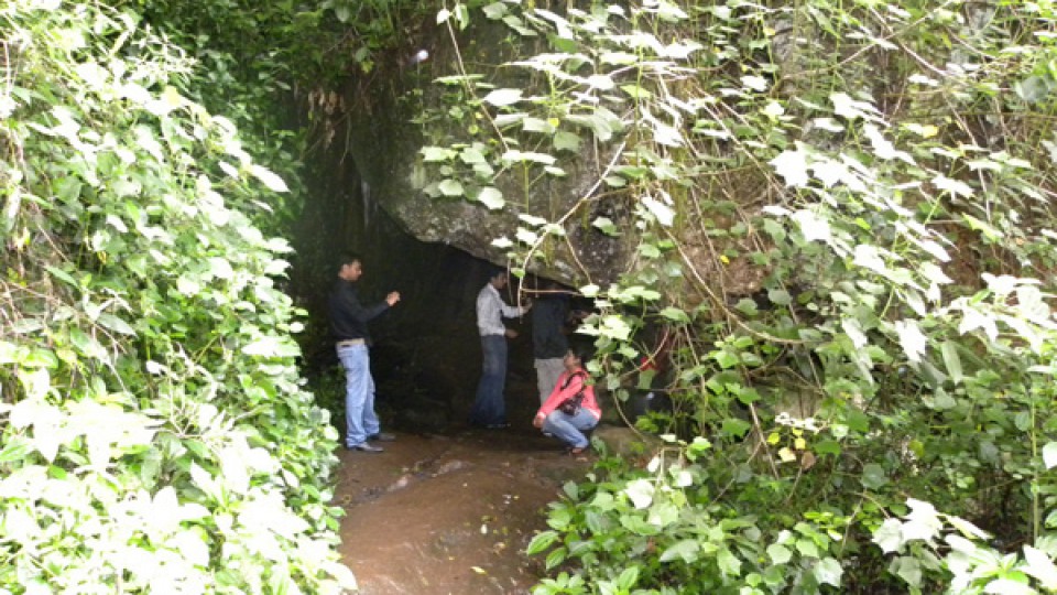 lion Cave