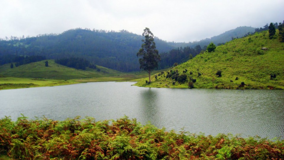 manavanur lake