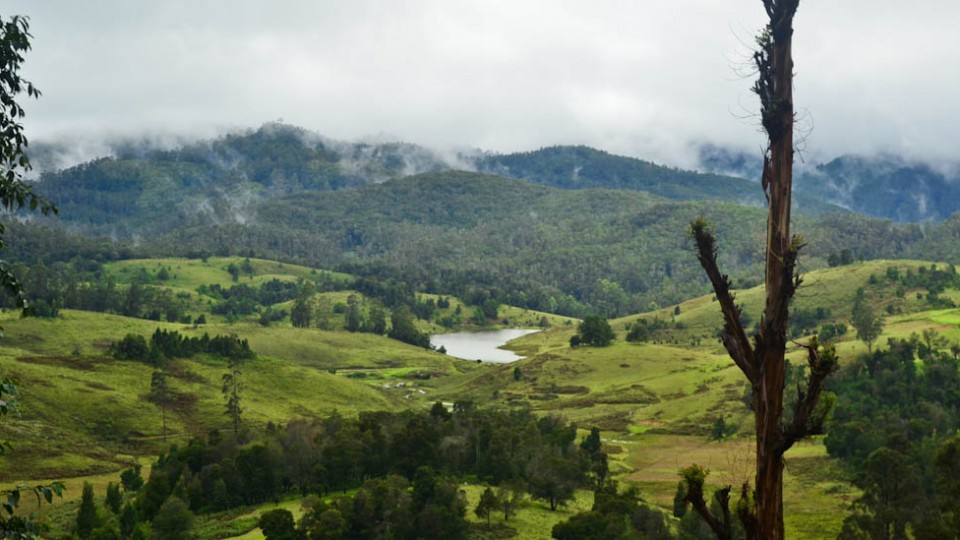 manavanur lake view