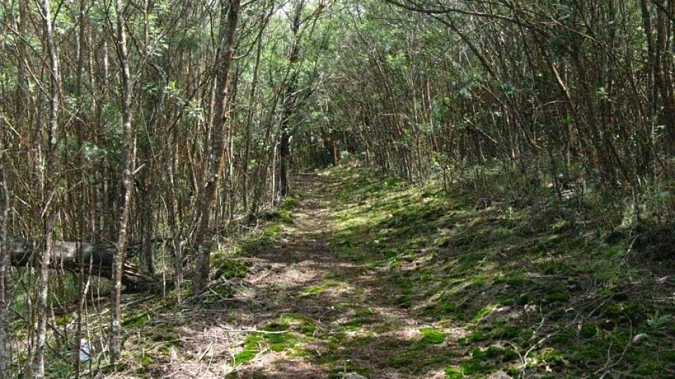 trail-guna-caves